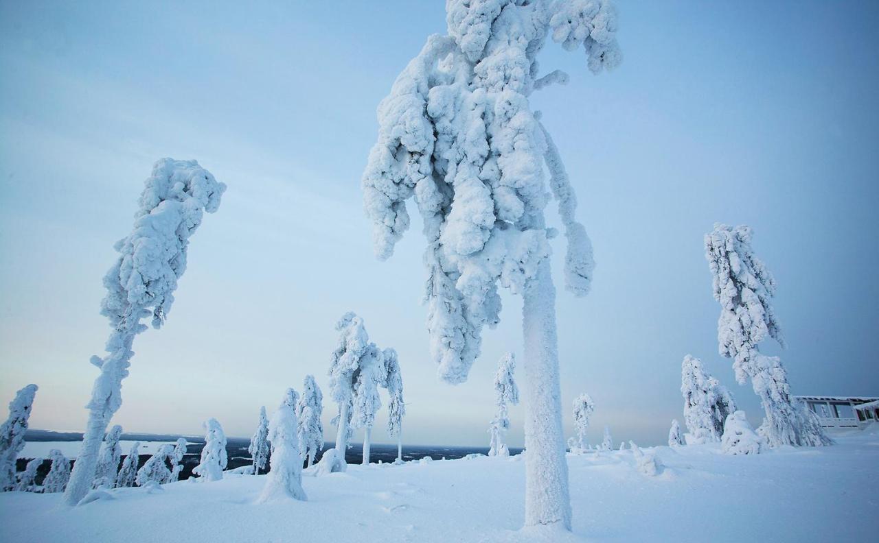 Arctic Giant Aparthotel Paltamo Екстериор снимка
